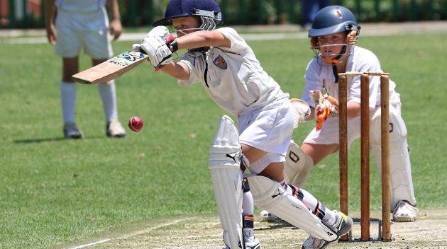 Young cricketers playing with focus and skill on a sunny outdoor field.